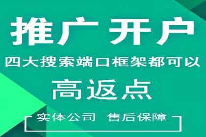 某电商平台的成功案例：信息流优化师的策略与成果